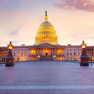 experience experience